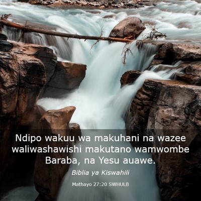 Picture 03 - Mathayo 27:20 SWHULB - Ndipo wakuu wa makuhani na wazee waliwashawishi - Bible Verse Picture