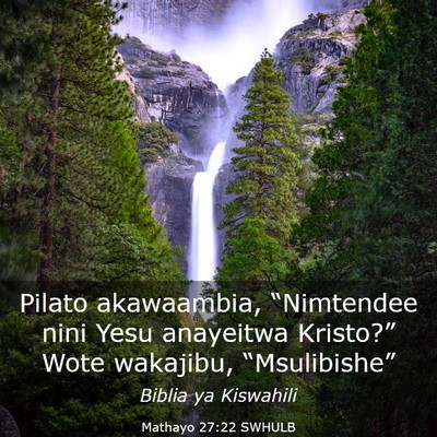 Picture 03 - Mathayo 27:22 SWHULB - Pilato akawaambia, “Nimtendee nini Yesu - Bible Verse Picture