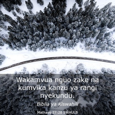 Picture 03 - Mathayo 27:28 SWHULB - Wakamvua nguo zake na kumvika kanzu ya rangi - Bible Verse Picture