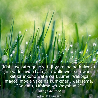 Picture 03 - Mathayo 27:29 SWHULB - Kisha wakatengeneza taji ya miiba na kuiweka juu - Bible Verse Picture