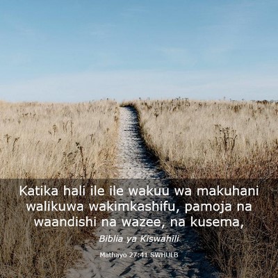 Picture 03 - Mathayo 27:41 SWHULB - Katika hali ile ile wakuu wa makuhani walikuwa - Bible Verse Picture