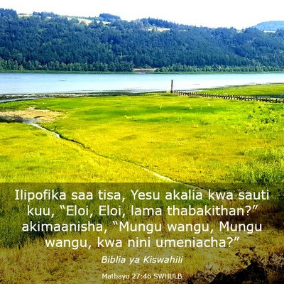 Picture 03 - Mathayo 27:46 SWHULB - Ilipofika saa tisa, Yesu akalia kwa sauti kuu, - Bible Verse Picture