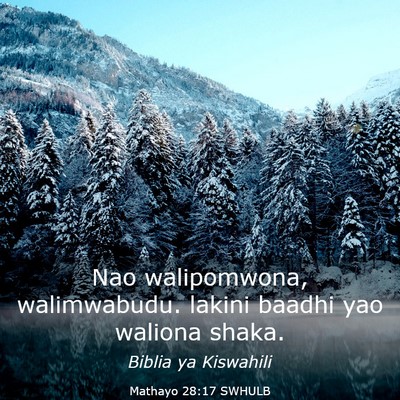 Picture 03 - Mathayo 28:17 SWHULB - Nao walipomwona, walimwabudu. lakini baadhi yao - Bible Verse Picture