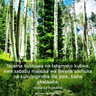 Picture 03 - Mathayo 28:2 SWHULB - Tazama kulikuwa na tetemeko kubwa, kwa sababu - Bible Verse Picture