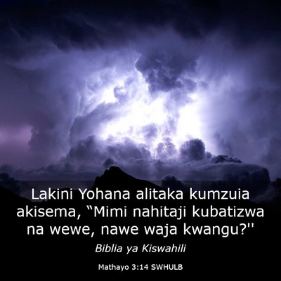 Picture 03 - Mathayo 3:14 SWHULB - Lakini Yohana alitaka kumzuia akisema, “Mimi - Bible Verse Picture