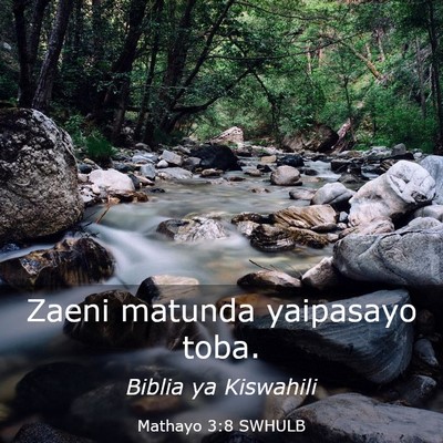 Picture 03 - Mathayo 3:8 SWHULB - Zaeni matunda yaipasayo - Bible Verse Picture