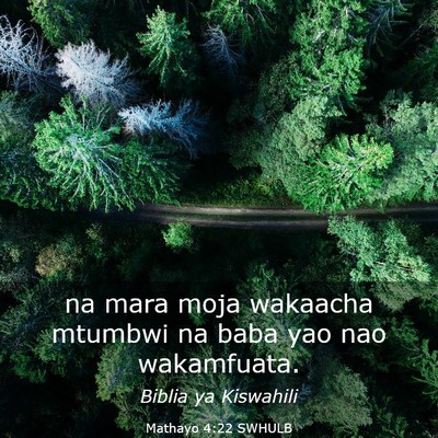 Picture 03 - Mathayo 4:22 SWHULB - na mara moja wakaacha mtumbwi na baba yao nao - Bible Verse Picture