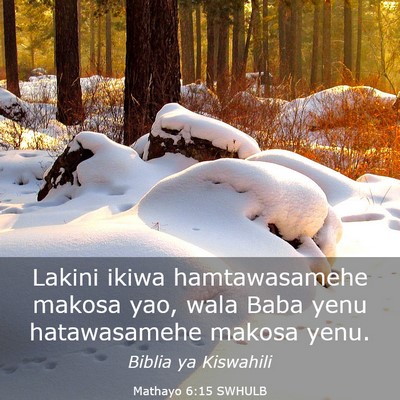 Picture 03 - Mathayo 6:15 SWHULB - Lakini ikiwa hamtawasamehe makosa yao, wala Baba - Bible Verse Picture