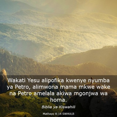 Picture 03 - Mathayo 8:14 SWHULB - Wakati Yesu alipofika kwenye nyumba ya Petro, - Bible Verse Picture