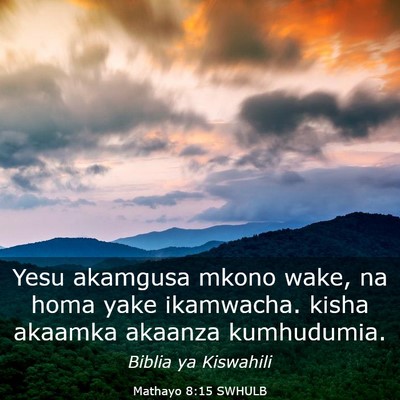 Picture 03 - Mathayo 8:15 SWHULB - Yesu akamgusa mkono wake, na homa yake ikamwacha. - Bible Verse Picture