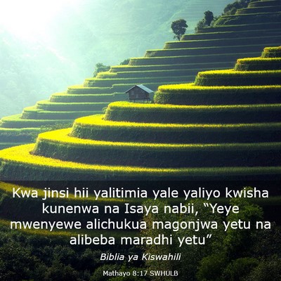 Picture 03 - Mathayo 8:17 SWHULB - Kwa jinsi hii yalitimia yale yaliyo kwisha - Bible Verse Picture
