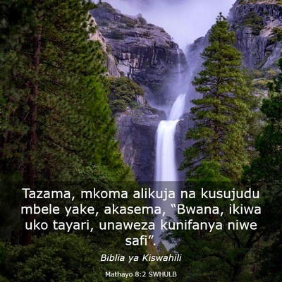 Picture 03 - Mathayo 8:2 SWHULB - Tazama, mkoma alikuja na kusujudu mbele yake, - Bible Verse Picture