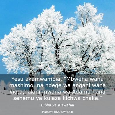 Picture 03 - Mathayo 8:20 SWHULB - Yesu akamwambia, “Mbweha wana mashimo, na ndege - Bible Verse Picture