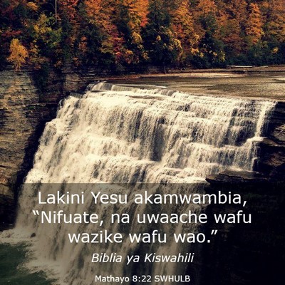 Picture 03 - Mathayo 8:22 SWHULB - Lakini Yesu akamwambia, “Nifuate, na uwaache - Bible Verse Picture