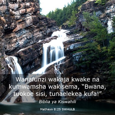 Picture 03 - Mathayo 8:25 SWHULB - Wanafunzi wakaja kwake na kumwamsha wakisema, - Bible Verse Picture