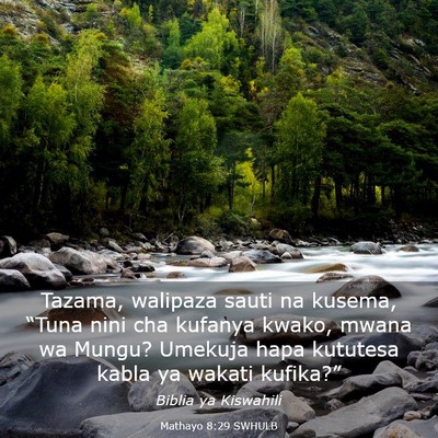 Picture 03 - Mathayo 8:29 SWHULB - Tazama, walipaza sauti na kusema, “Tuna nini - Bible Verse Picture