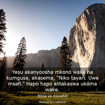 Picture 03 - Mathayo 8:3 SWHULB - Yesu akanyoosha mkono wake na kumgusa, akasema, - Bible Verse Picture