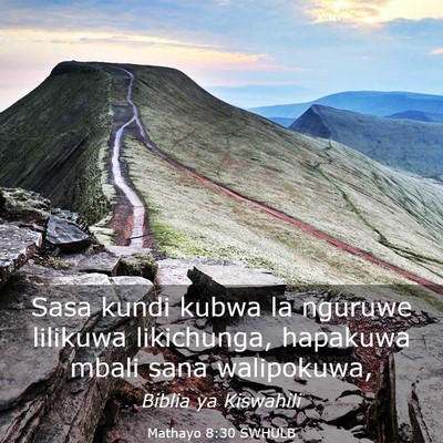 Picture 03 - Mathayo 8:30 SWHULB - Sasa kundi kubwa la nguruwe lilikuwa likichunga, - Bible Verse Picture