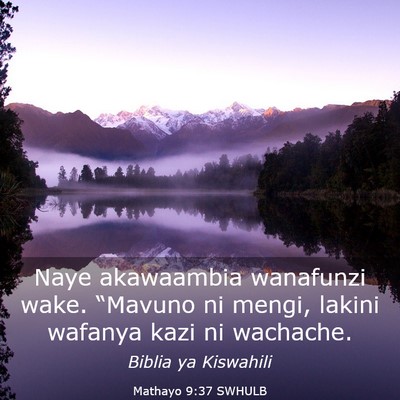 Picture 03 - Mathayo 9:37 SWHULB - Naye akawaambia wanafunzi wake. “Mavuno ni - Bible Verse Picture