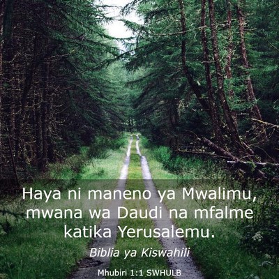 Picture 03 - Mhubiri 1:1 SWHULB - Haya ni maneno ya Mwalimu, mwana wa Daudi na - Bible Verse Picture