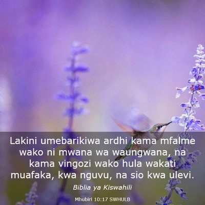 Picture 03 - Mhubiri 10:17 SWHULB - Lakini umebarikiwa ardhi kama mfalme wako ni - Bible Verse Picture