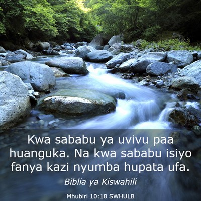 Picture 03 - Mhubiri 10:18 SWHULB - Kwa sababu ya uvivu paa huanguka. Na kwa sababu - Bible Verse Picture