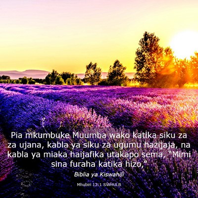 Picture 03 - Mhubiri 12:1 SWHULB - Pia mkumbuke Muumba wako katika siku za za ujana, - Bible Verse Picture