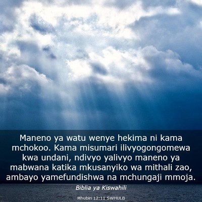 Picture 03 - Mhubiri 12:11 SWHULB - Maneno ya watu wenye hekima ni kama mchokoo. Kama - Bible Verse Picture