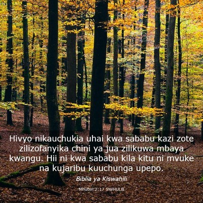 Picture 03 - Mhubiri 2:17 SWHULB - Hivyo nikauchukia uhai kwa sababu kazi zote - Bible Verse Picture