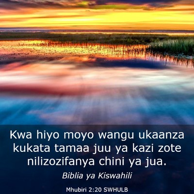 Picture 03 - Mhubiri 2:20 SWHULB - Kwa hiyo moyo wangu ukaanza kukata tamaa juu ya - Bible Verse Picture