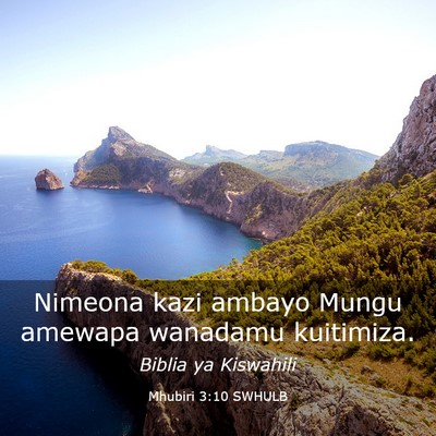Picture 03 - Mhubiri 3:10 SWHULB - Nimeona kazi ambayo Mungu amewapa wanadamu - Bible Verse Picture