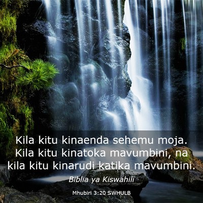 Picture 03 - Mhubiri 3:20 SWHULB - Kila kitu kinaenda sehemu moja. Kila kitu - Bible Verse Picture