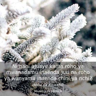 Picture 03 - Mhubiri 3:21 SWHULB - Ni nani ajuaye kama roho ya mwanadamu inaenda juu - Bible Verse Picture