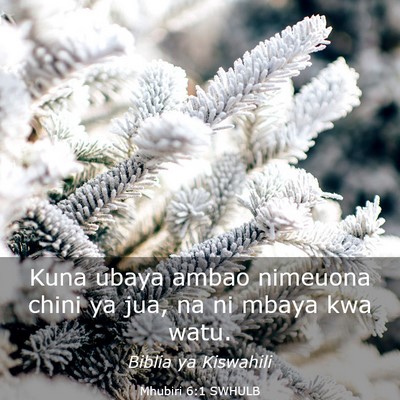 Picture 03 - Mhubiri 6:1 SWHULB - Kuna ubaya ambao nimeuona chini ya jua, na ni - Bible Verse Picture