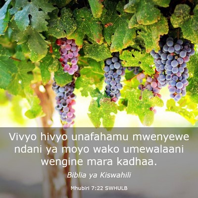 Picture 03 - Mhubiri 7:22 SWHULB - Vivyo hivyo unafahamu mwenyewe ndani ya moyo wako - Bible Verse Picture