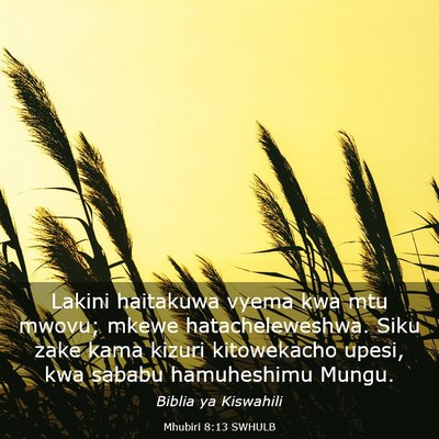 Picture 03 - Mhubiri 8:13 SWHULB - Lakini haitakuwa vyema kwa mtu mwovu; mkewe - Bible Verse Picture