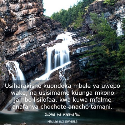 Picture 03 - Mhubiri 8:3 SWHULB - Usiharakishe kuondoka mbele ya uwepo wake, na - Bible Verse Picture