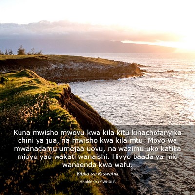Picture 03 - Mhubiri 9:3 SWHULB - Kuna mwisho mwovu kwa kila kitu kinachofanyika - Bible Verse Picture