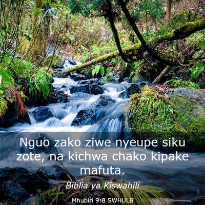 Picture 03 - Mhubiri 9:8 SWHULB - Nguo zako ziwe nyeupe siku zote, na kichwa chako - Bible Verse Picture