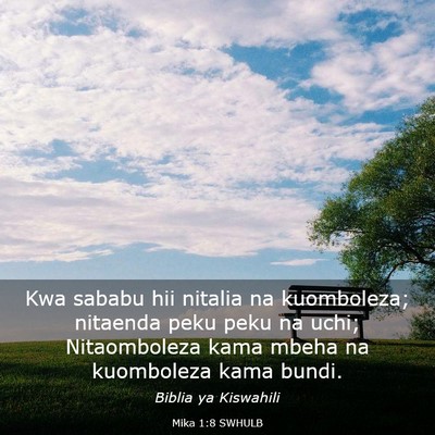 Picture 03 - Mika 1:8 SWHULB - Kwa sababu hii nitalia na kuomboleza; nitaenda - Bible Verse Picture