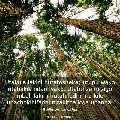 Picture 03 - Mika 6:14 SWHULB - Utakula lakini hutatosheka; utupu wako utabakia - Bible Verse Picture