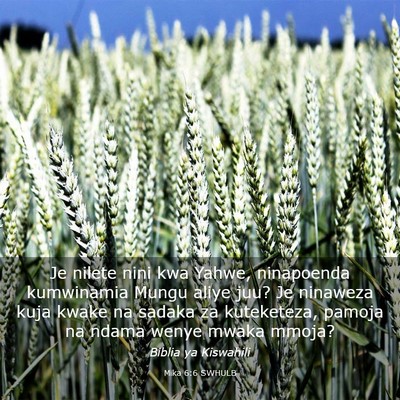 Picture 03 - Mika 6:6 SWHULB - Je nilete nini kwa Yahwe, ninapoenda kumwinamia - Bible Verse Picture