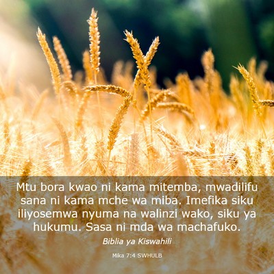 Picture 03 - Mika 7:4 SWHULB - Mtu bora kwao ni kama mitemba, mwadilifu sana ni - Bible Verse Picture