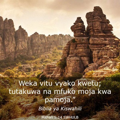 Picture 03 - Mithali 1:14 SWHULB - Weka vitu vyako kwetu; tutakuwa na mfuko moja kwa - Bible Verse Picture
