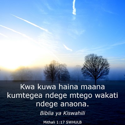 Picture 03 - Mithali 1:17 SWHULB - Kwa kuwa haina maana kumtegea ndege mtego wakati - Bible Verse Picture