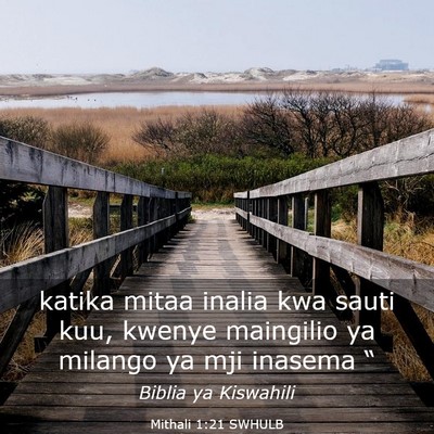 Picture 03 - Mithali 1:21 SWHULB - katika mitaa inalia kwa sauti kuu, kwenye - Bible Verse Picture