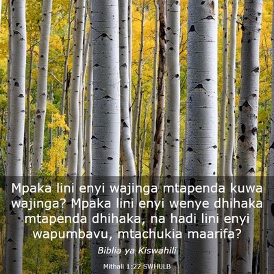 Picture 03 - Mithali 1:22 SWHULB - Mpaka lini enyi wajinga mtapenda kuwa wajinga? - Bible Verse Picture
