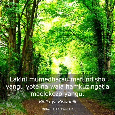 Picture 03 - Mithali 1:25 SWHULB - Lakini mumedharau mafundisho yangu yote na wala - Bible Verse Picture