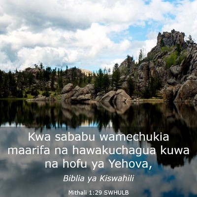 Picture 03 - Mithali 1:29 SWHULB - Kwa sababu wamechukia maarifa na hawakuchagua - Bible Verse Picture