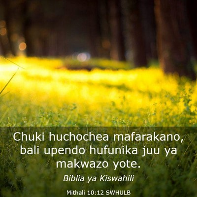 Picture 03 - Mithali 10:12 SWHULB - Chuki huchochea mafarakano, bali upendo hufunika - Bible Verse Picture